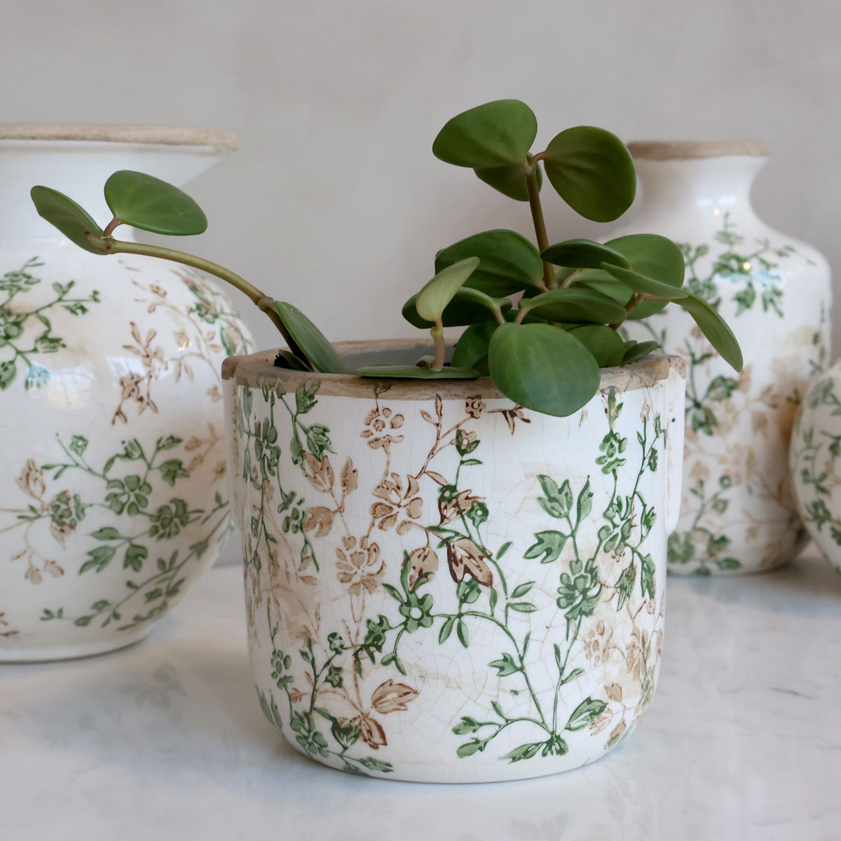 Übertopf Grasse mit Zweigmotiv, Keramik, creme, 13,5 cm