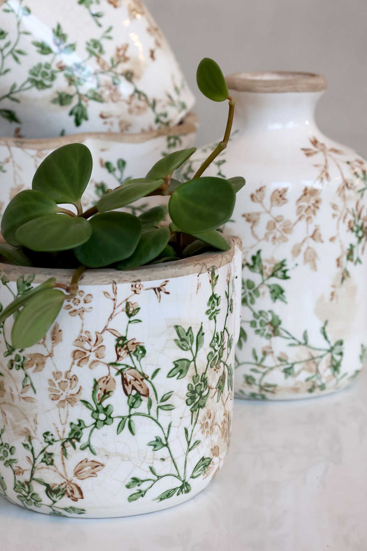 Übertopf Grasse mit Zweigmotiv, Keramik, creme, 13,5 cm hoch