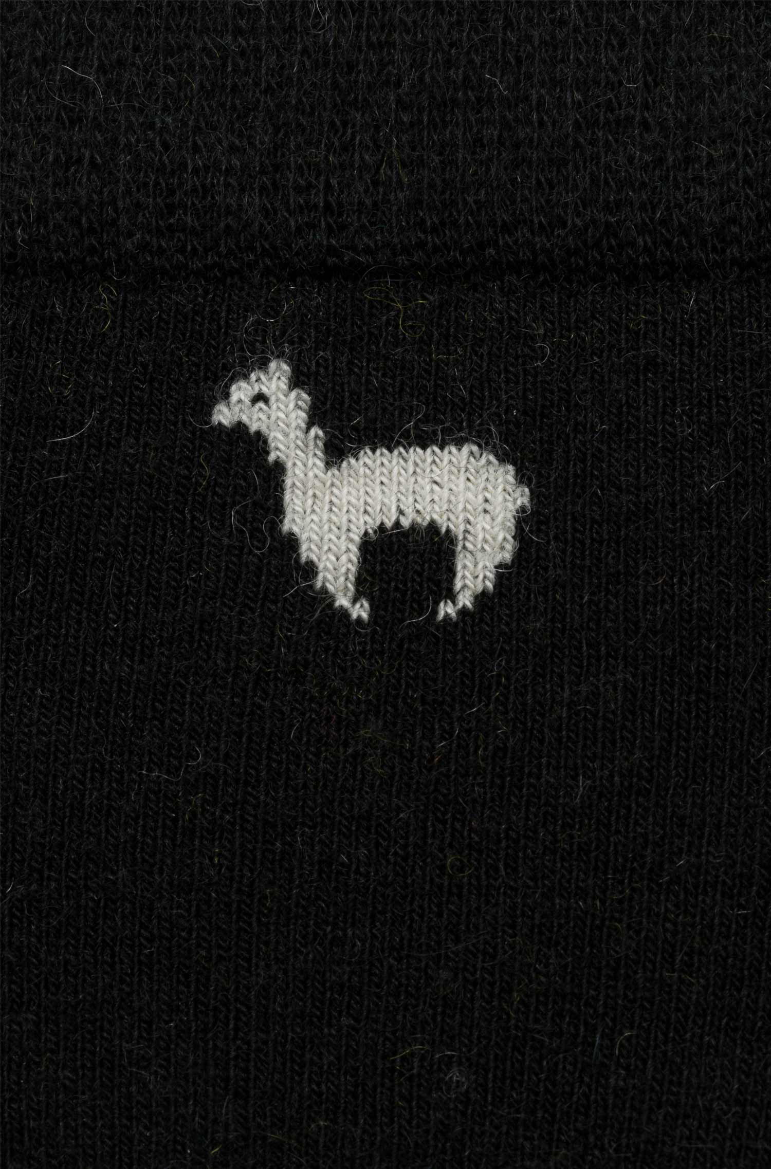 6er-Pack Premium SPORT SNEAKER SOCKE  in Naturfaser Qualität