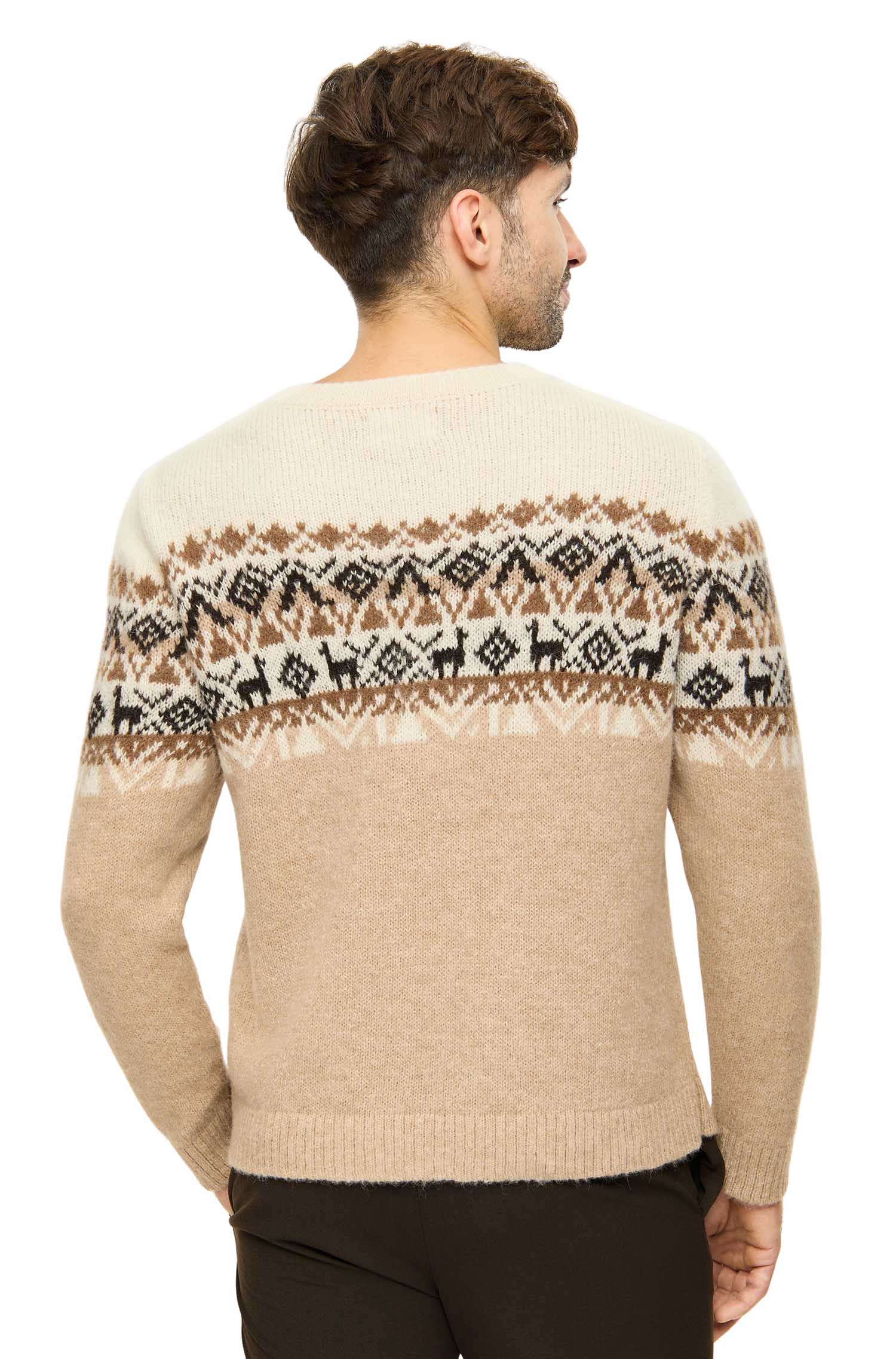 Alpaka Pullover GIORGIO