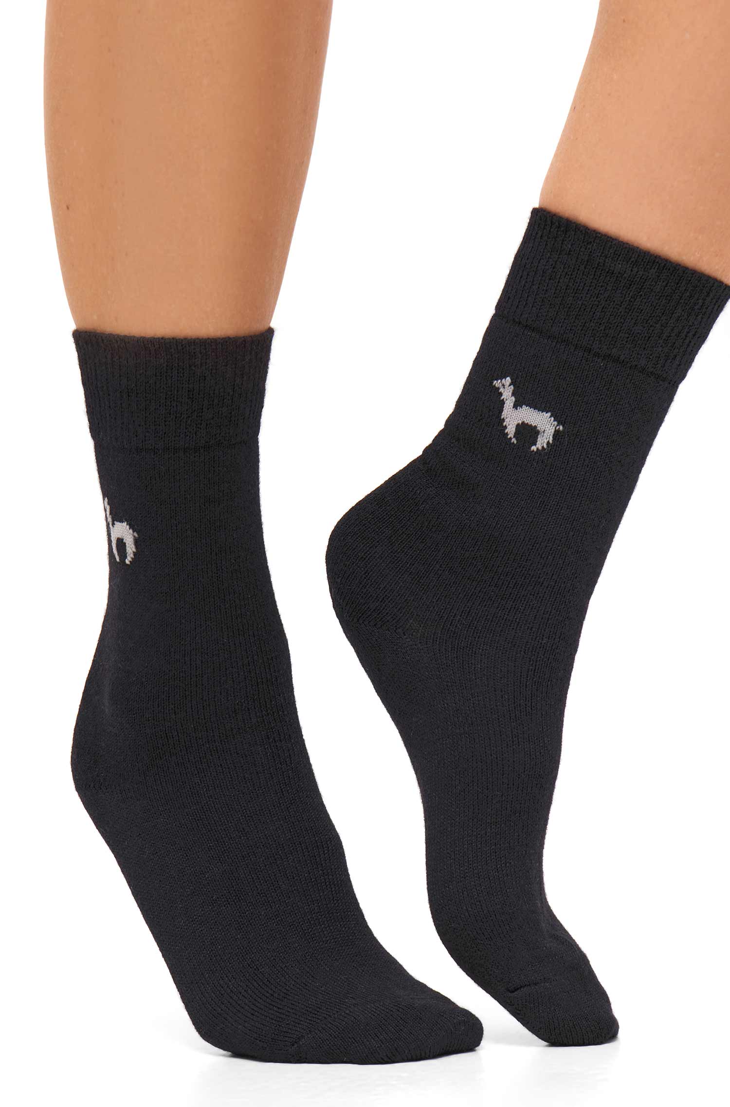 Alpaka Socken BUSINESS | 6er-Pack